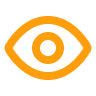 Vision Icon